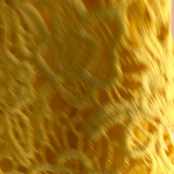 New! Nanette Lepore lace tank top NWT - Picture 4 of 10